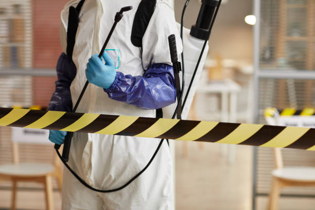 Professional Sewage Cleanup technician working in Bloomingdale, IL